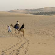 Tourist camel ride